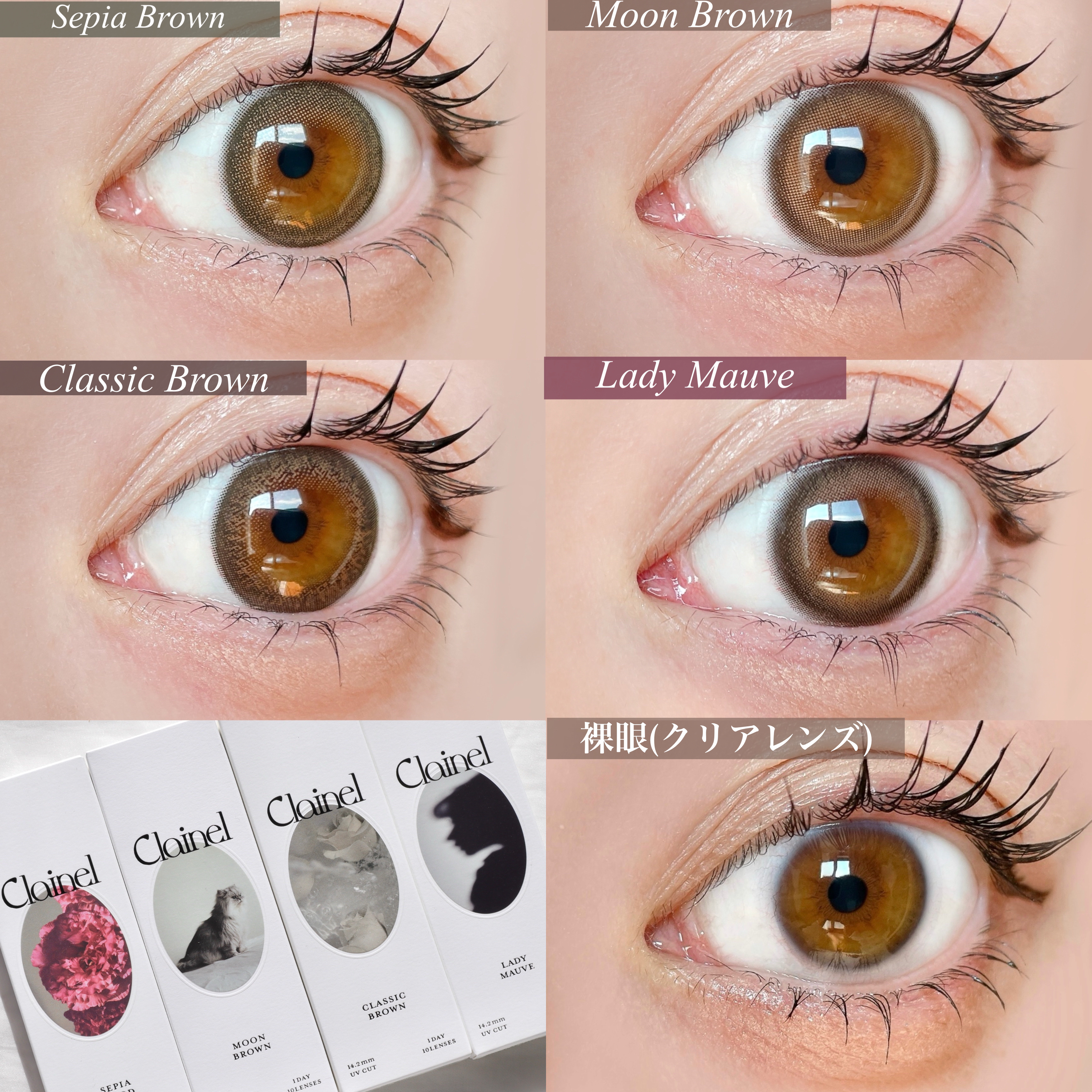 Clainel 1DAY/Clainel/ワンデー（１DAY）カラコンを使ったクチコミ（2枚目）