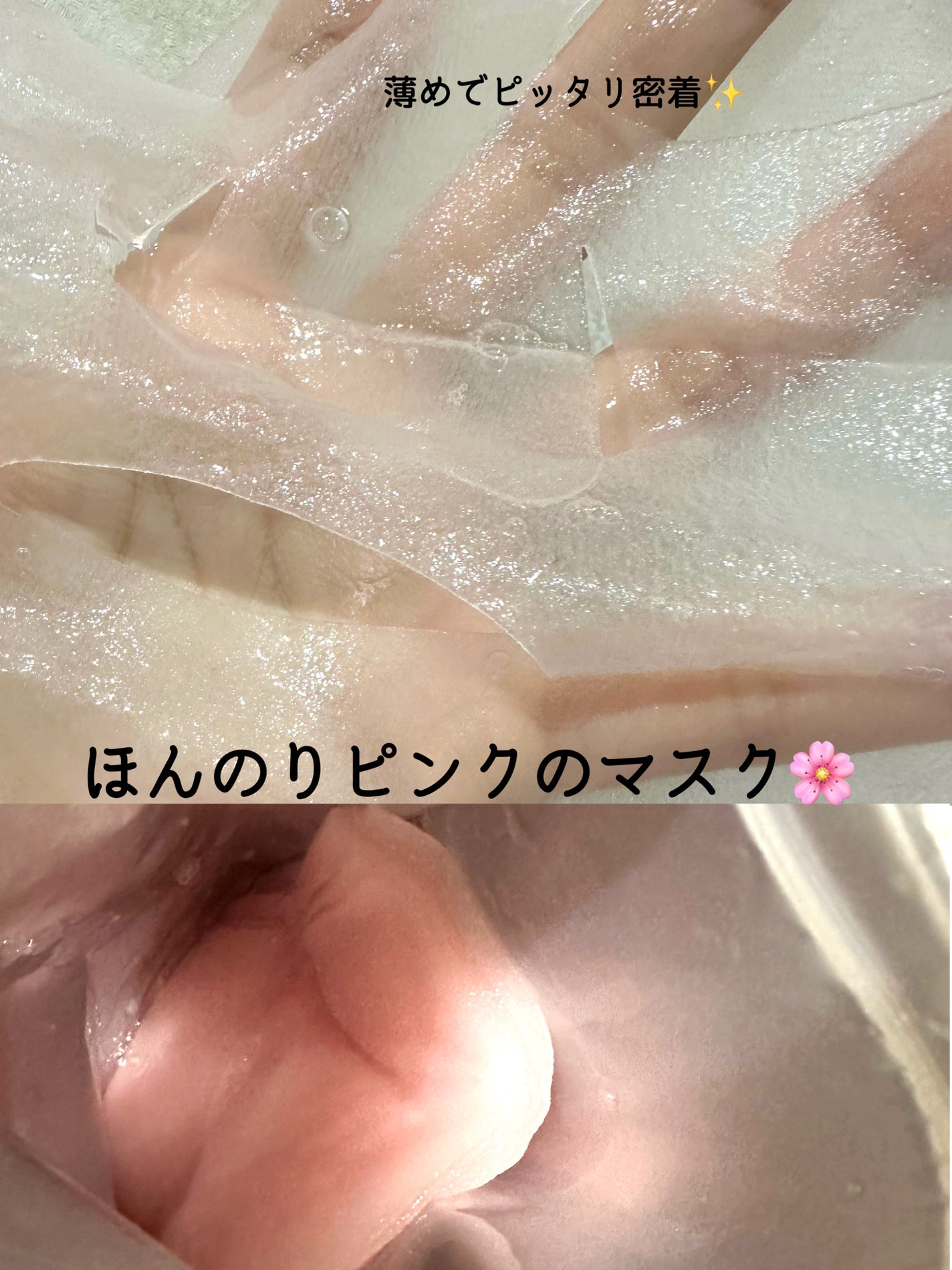 èçŸç²Ÿ ã«ã©ãŒãšãã»ã³ã¹ãã¹ã¯ ãã³ã¯/èçŸç²Ÿ/ã·ãŒããã¹ã¯ã»ããã¯ã䜿ã£ãã¯ãã³ãïŒ2æç®ïŒ