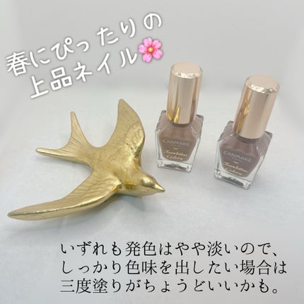 ファンデーションカラーズ/キャンメイク/マニキュアを使ったクチコミ(4枚目)