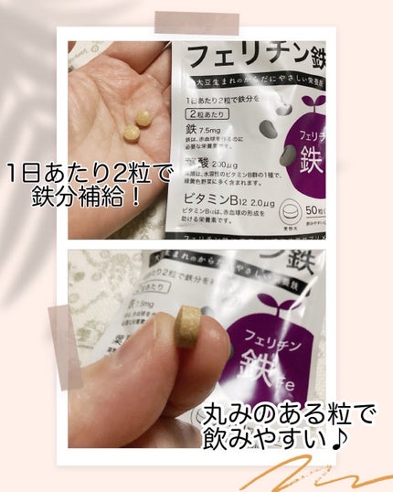 THEフェリチン鉄/武内製薬 THEシリーズ/健康サプリメントを使ったクチコミ(3枚目)