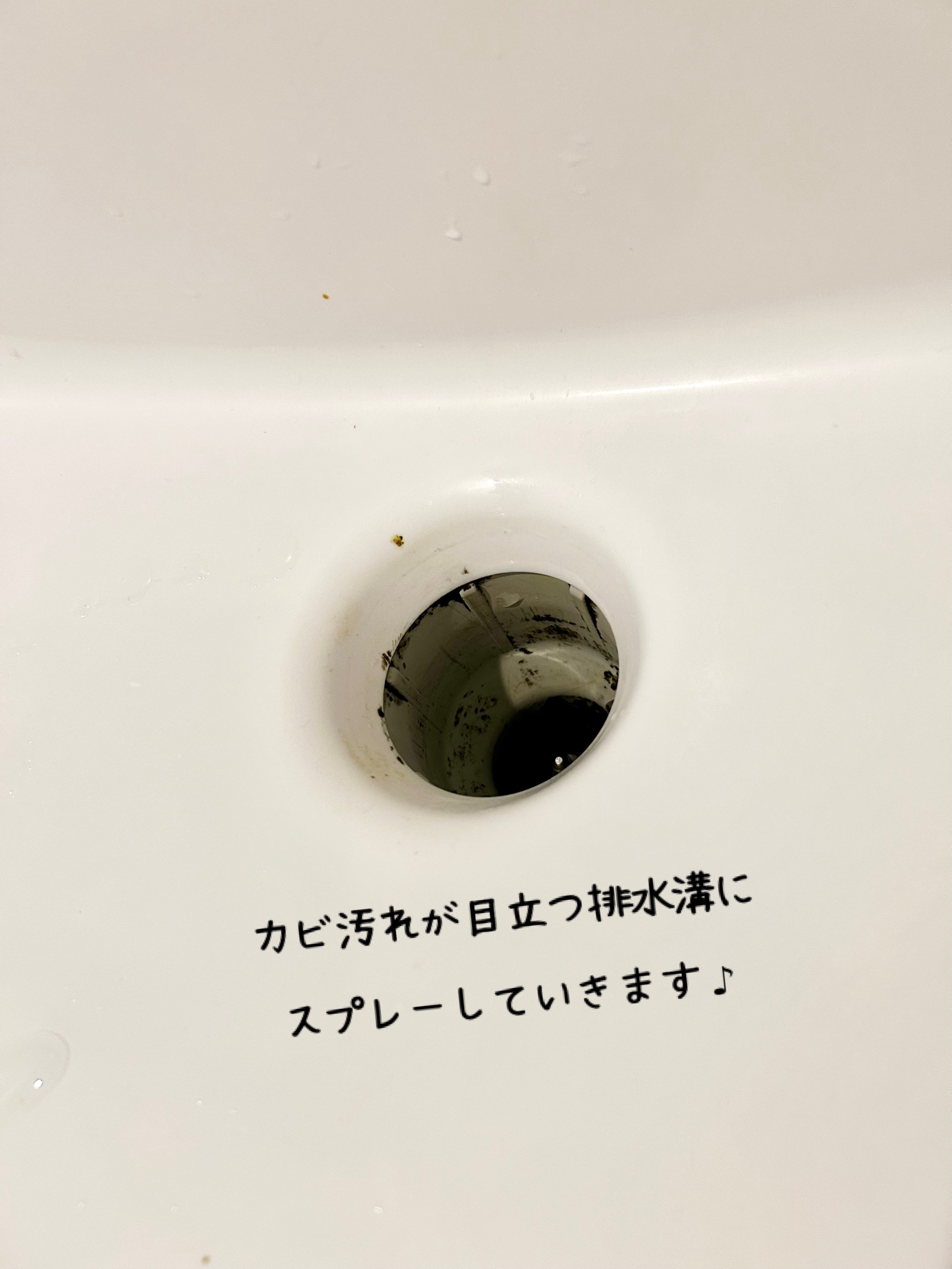 Mol clear Pro/ホコニコ/その他を使ったクチコミ（3枚目）