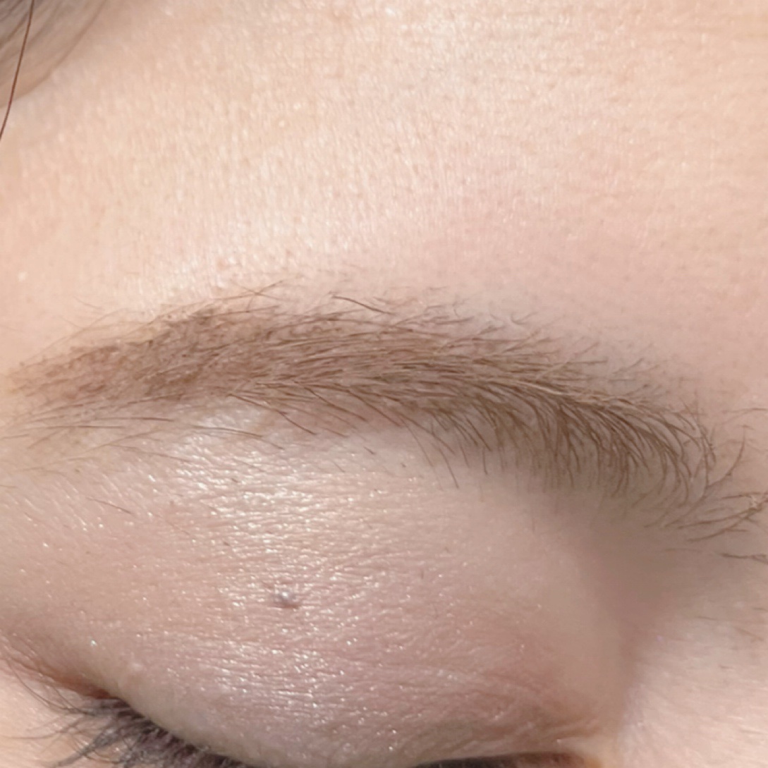 ハンオールブロウカラ 02 マイルドウッディ（INAPSQUAREコラボ）/rom&nd/眉マスカラを使ったクチコミ（2枚目）