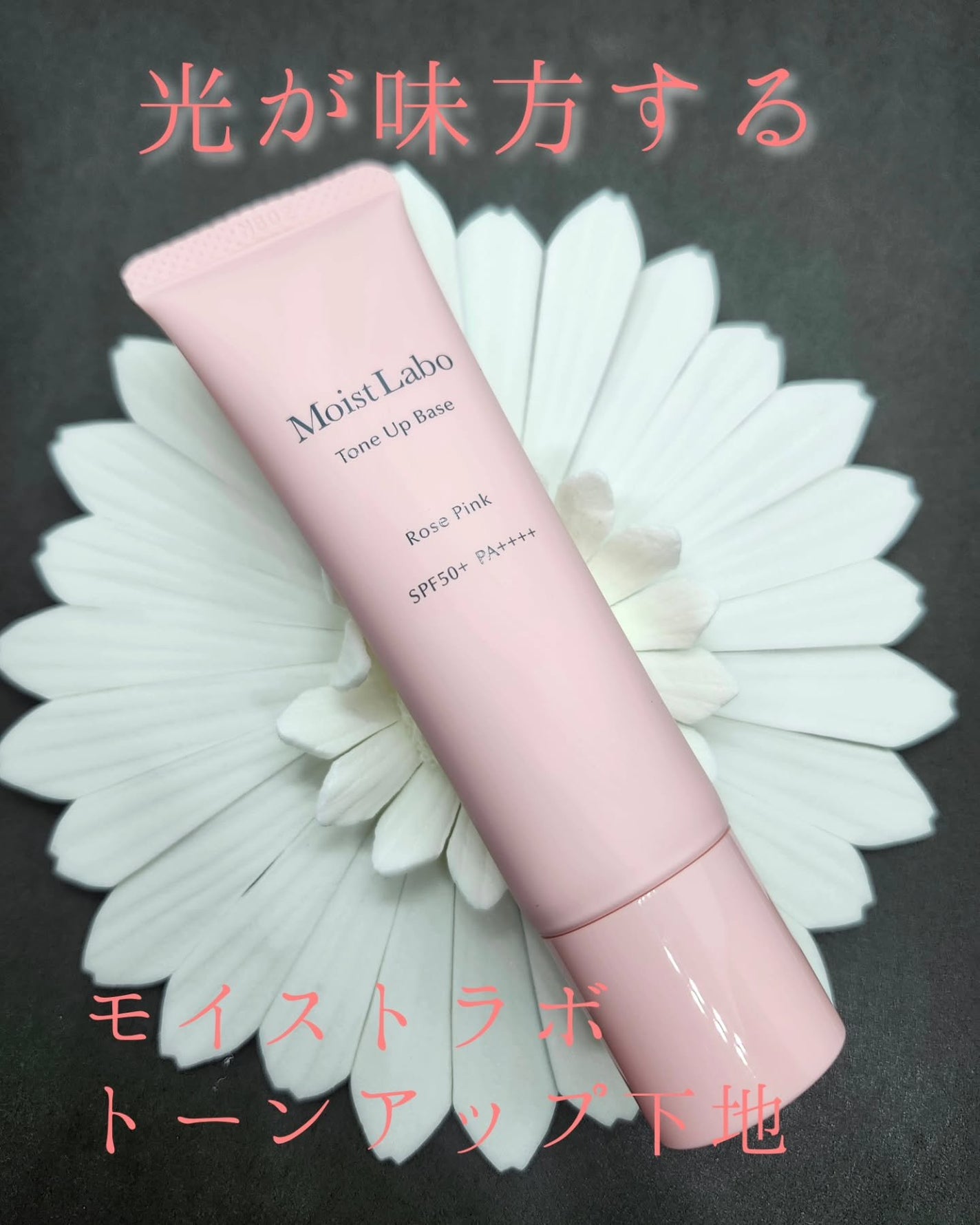 miyaꕤ.。フォロバ100㌫ /相互フォロー on LIPS 「𖤣𖥧𖡼.𖤣𖥧𖤣𖥧𖡼.𖤣𖥧𖤣𖥧𖡼.𖤣𖥧𖤣𖥧𖡼.𖤣𖥧𖤣𖥧𖡼.𖤣𖥧『..」(1枚目)