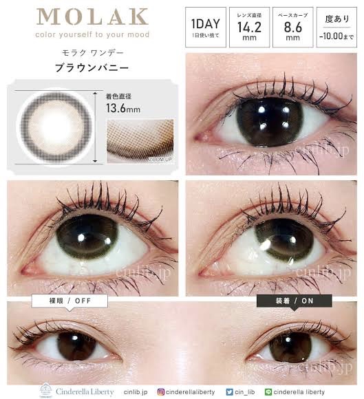 Liberty 「目を潤す不思議なセット」 JINS MADE WITH LIBERTY FABRICS」2024年1月25日発売！｜ジンズ