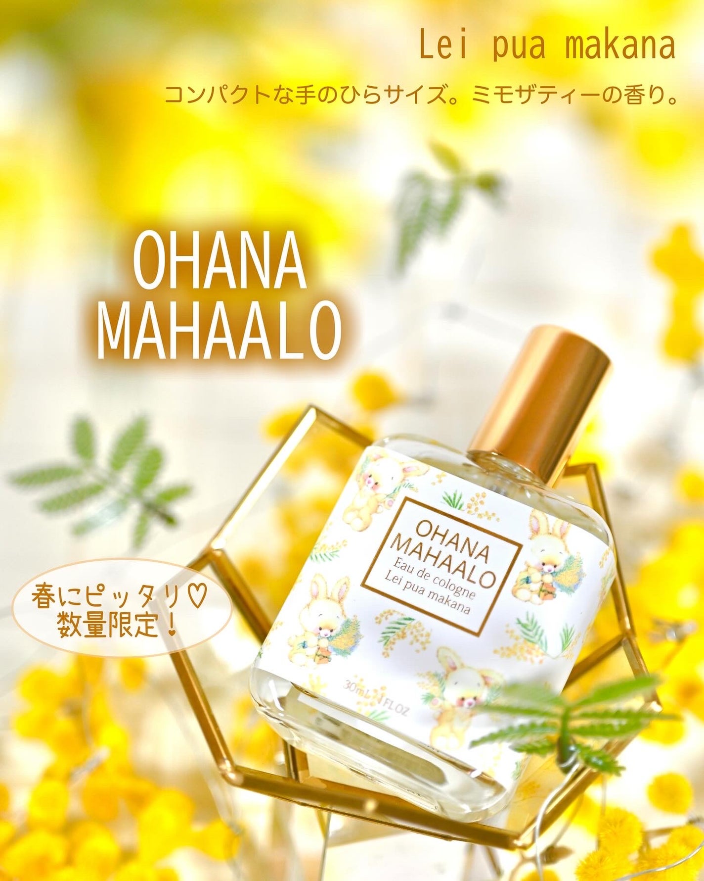 オーデコロン レイ プア マカナ/OHANA MAHAALO/香水(レディース)を使ったクチコミ(1枚目)