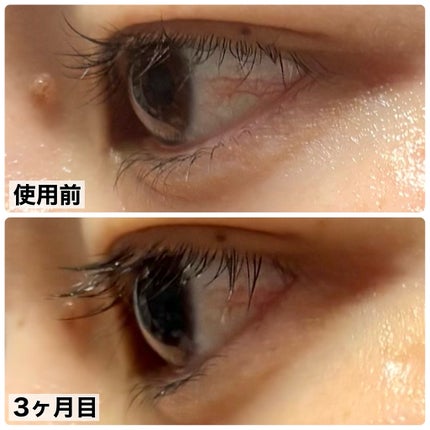 を使ったクチコミ(2枚目)