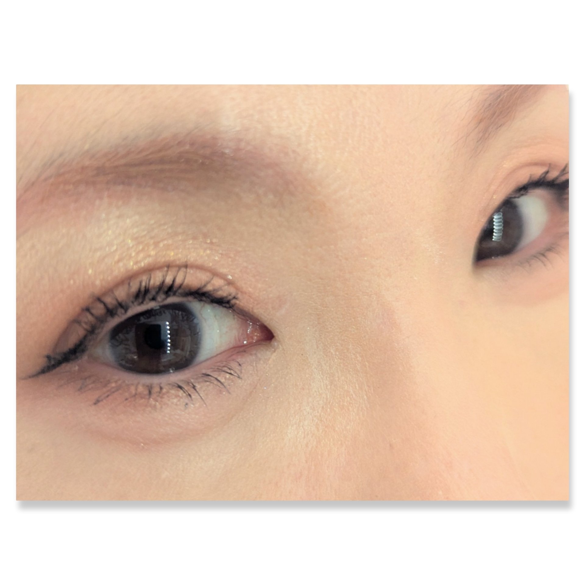 ダブル ムード アイズ/Visée/アイシャドウパレットを使ったクチコミ（2枚目）