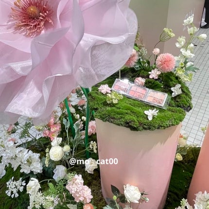 ベターミーアイパレット/2aN/マルチパレットを使ったクチコミ(5枚目)