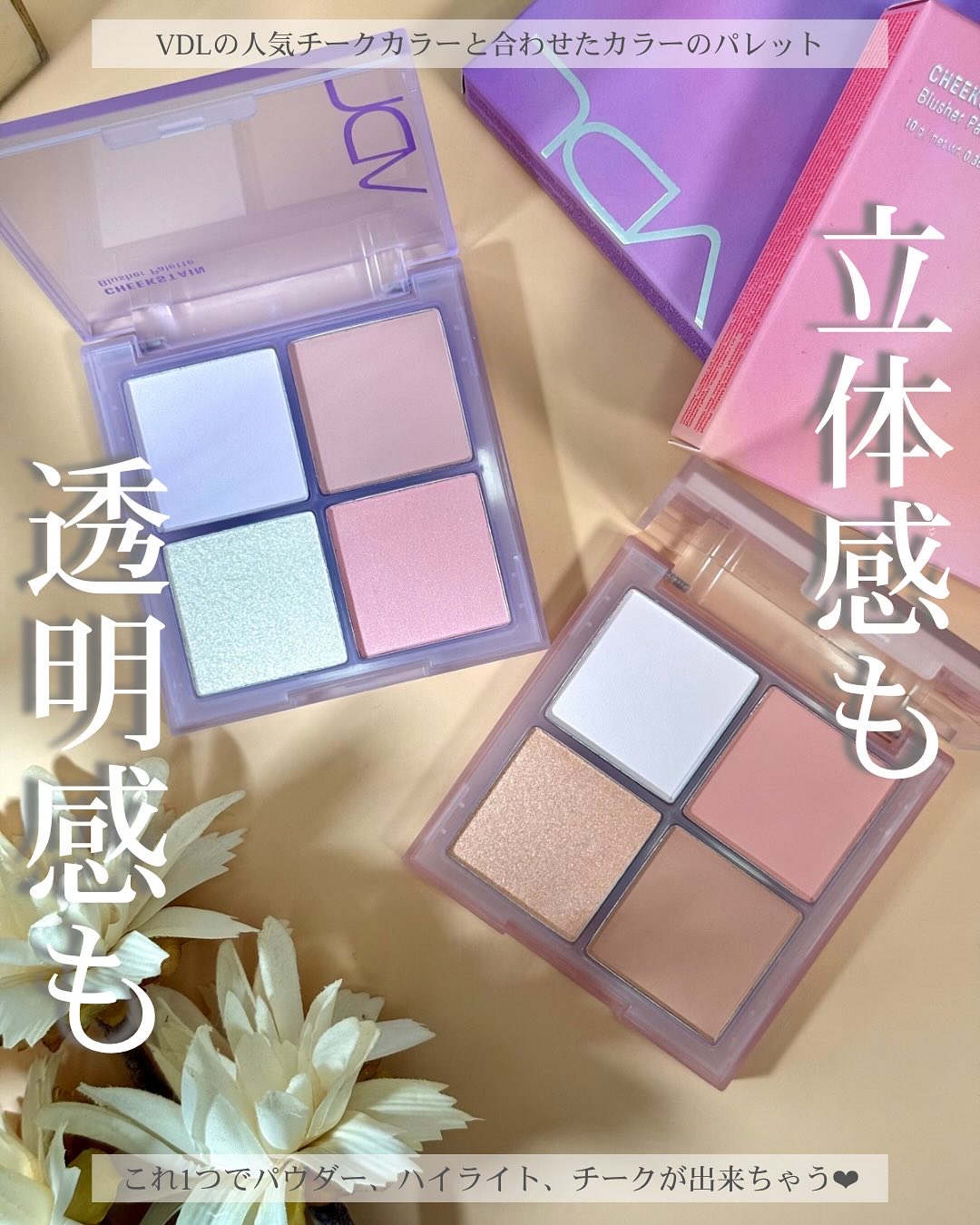 VDL チークステイン ブラッシャー パレット/VDL/パウダーチークを使ったクチコミ（1枚目）