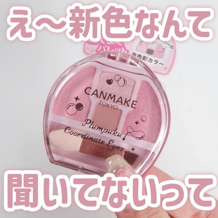 プランぷくコーデアイズ/キャンメイク/パウダーアイシャドウを使ったクチコミ(1枚目)