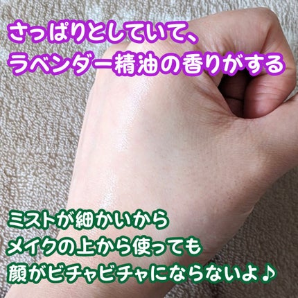 薬用 CICA ウォーターミスト/タイガレイド/ミスト状化粧水を使ったクチコミ(3枚目)