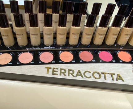 テラコッタ ブラッシュ/GUERLAIN/パウダーチークを使ったクチコミ(5枚目)