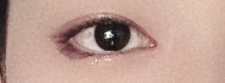 山海シリーズ 4色アイシャドウパレット 06 蝴蝶鹿 sika deer/GirlCult/アイシャドウパレットを使ったクチコミ（1枚目）