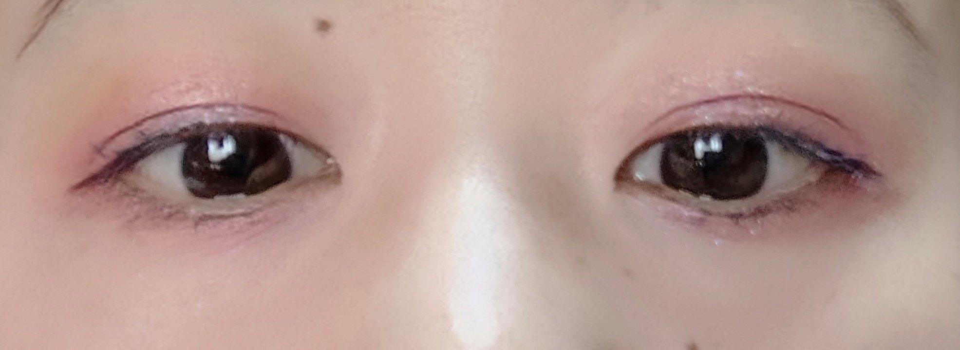 エンチャンテッド ナイト/CHANEL/アイシャドウパレットを使ったクチコミ（3枚目）