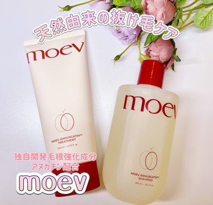 モエブ アヌカチン シャンプー/トリートメント/moev/市販シャンプーを使ったクチコミ(1枚目)