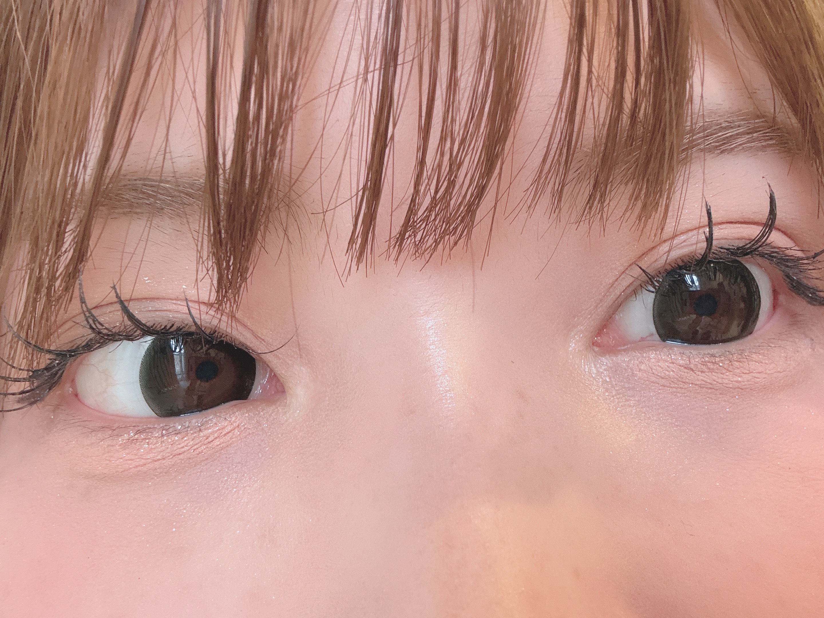 candymagic1day（キャンディーマジックワンデー） BEGINNER BLACK（ビギナーブラック）/candy magic/ワンデー（１DAY）カラコンを使ったクチコミ（2枚目）