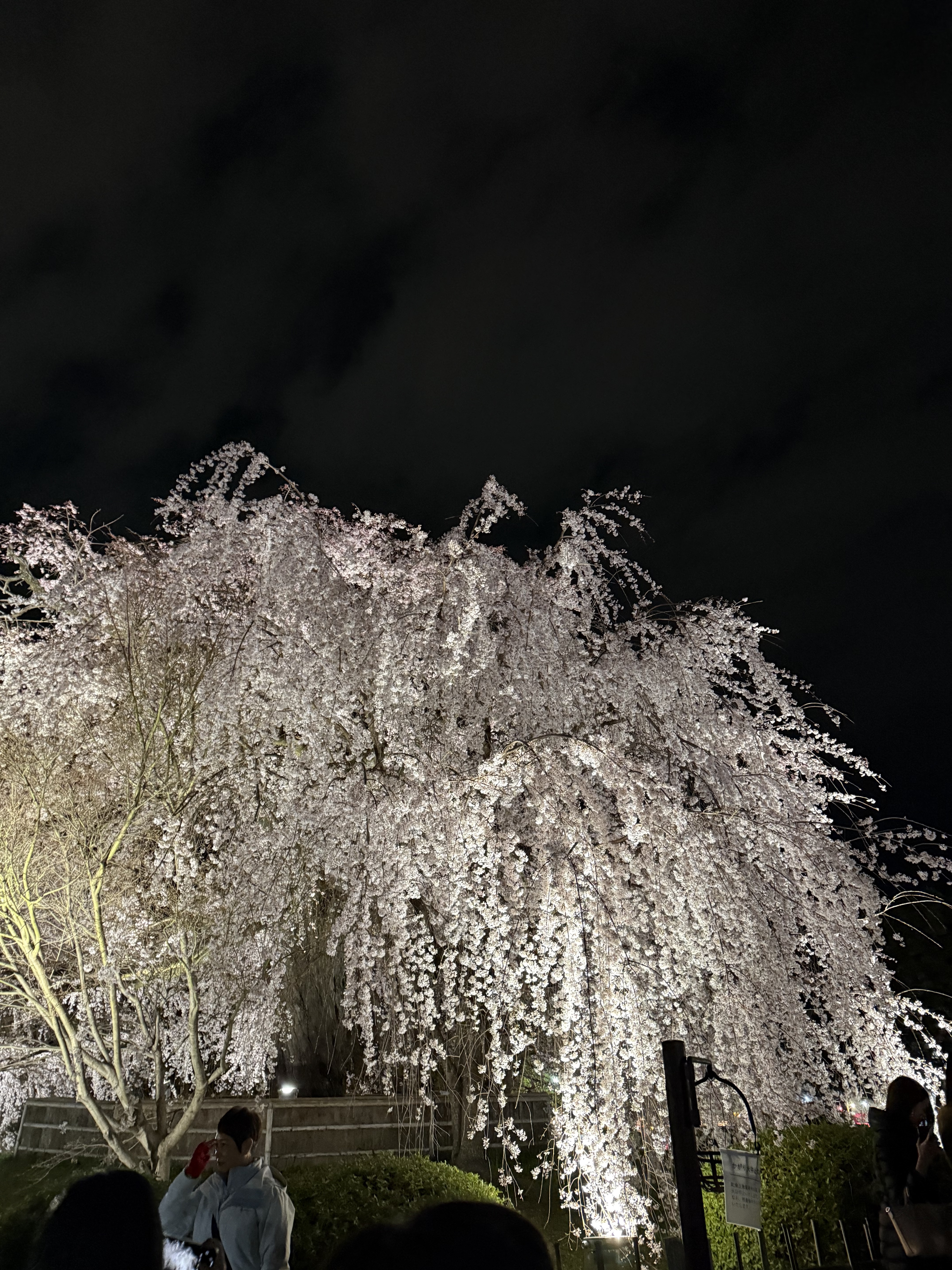 【旧】ディオールショウ サンク クルール（プラン ドゥ パリ コレクション限定品）/Dior/アイシャドウを使ったクチコミ（2枚目）