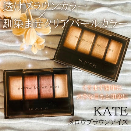 ケイト メロウブラウンアイズ/KATE/アイシャドウパレットを使ったクチコミ(1枚目)