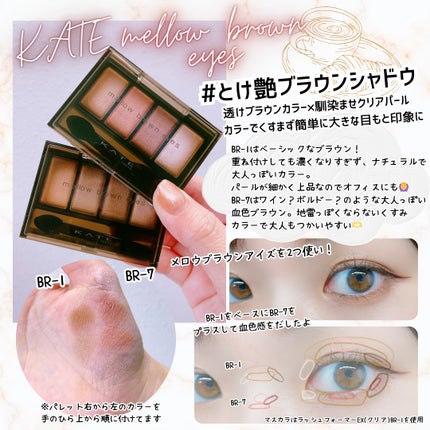 ケイト メロウブラウンアイズ/KATE/アイシャドウパレットを使ったクチコミ(1枚目)