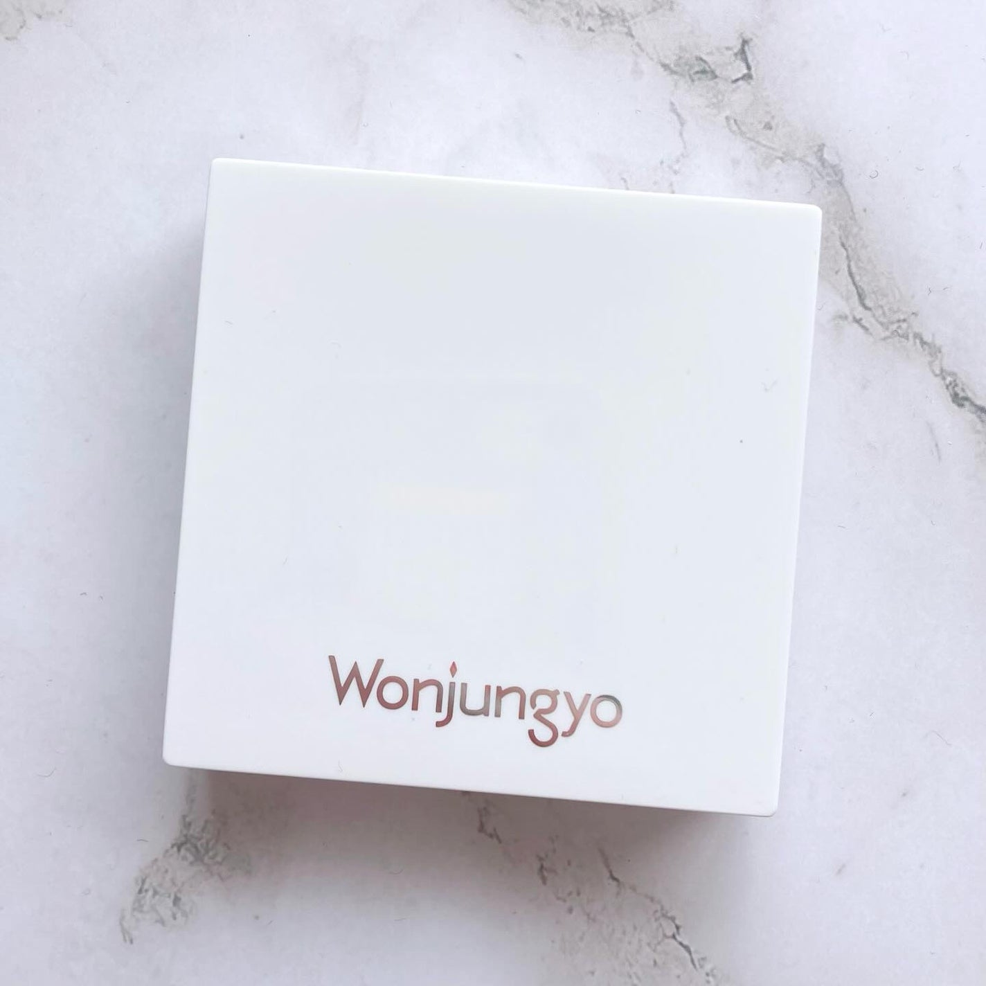 ウォンジョンヨ カバーマスター ブライトニングコンシーラー/Wonjungyo/パレットコンシーラーを使ったクチコミ(1枚目)