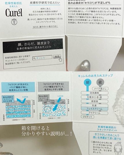 潤浸保湿 フェイスクリーム/キュレル/フェイスクリームを使ったクチコミ(7枚目)
