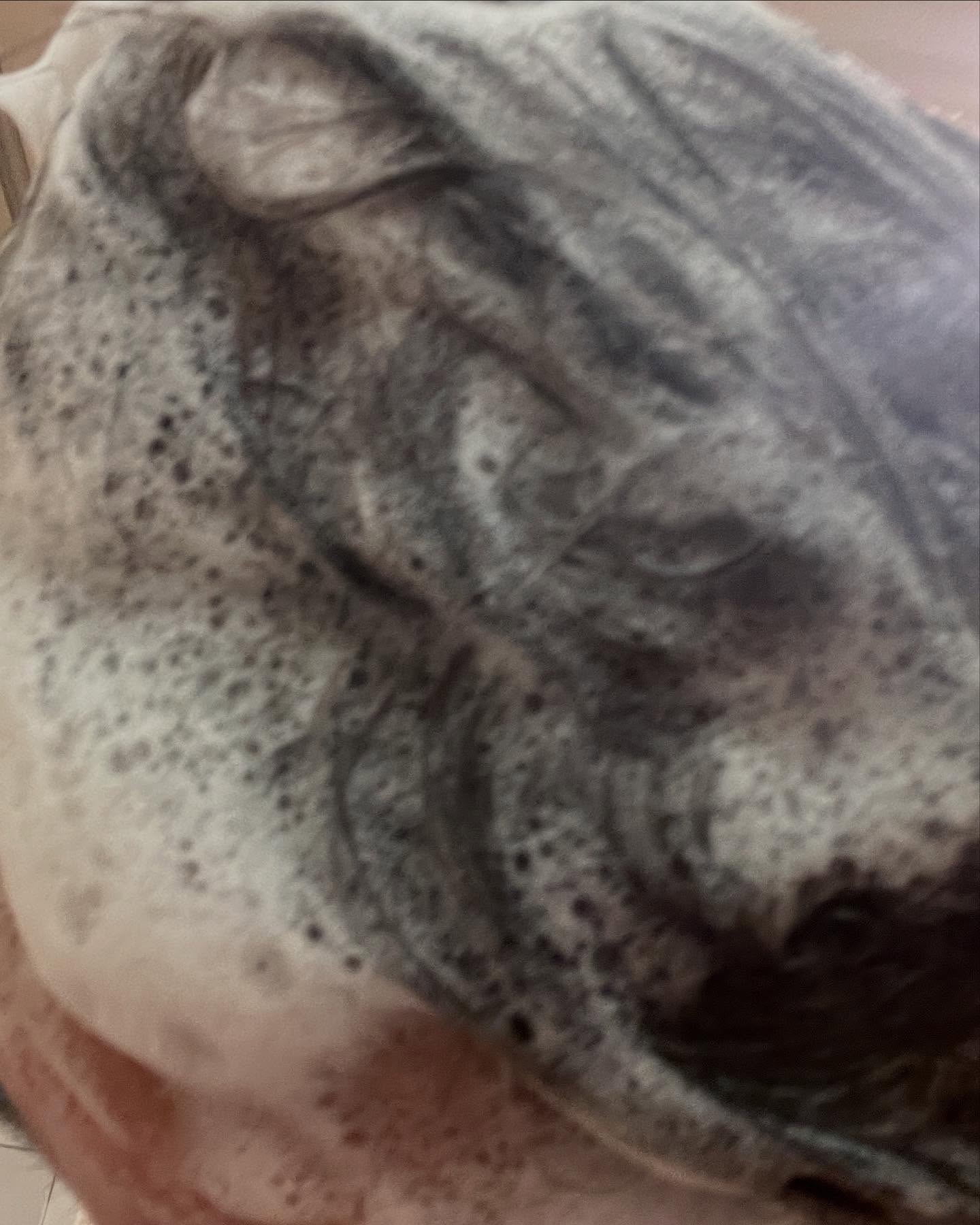 エアリーフォーカス　シャンプー／トリートメント/フィルステップ/サロンシャンプーを使ったクチコミ（3枚目）