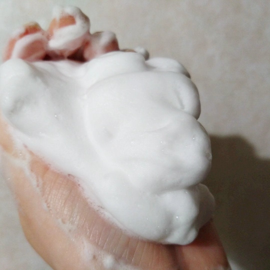 スキンコンディショニング洗顔/ファンケル/洗顔フォームを使ったクチコミ(3枚目)