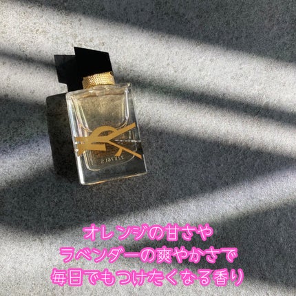 YSL ラブシャイン キャンディグレーズ No.8 チリ デライト/YVES SAINT LAURENT BEAUTE/口紅の画像