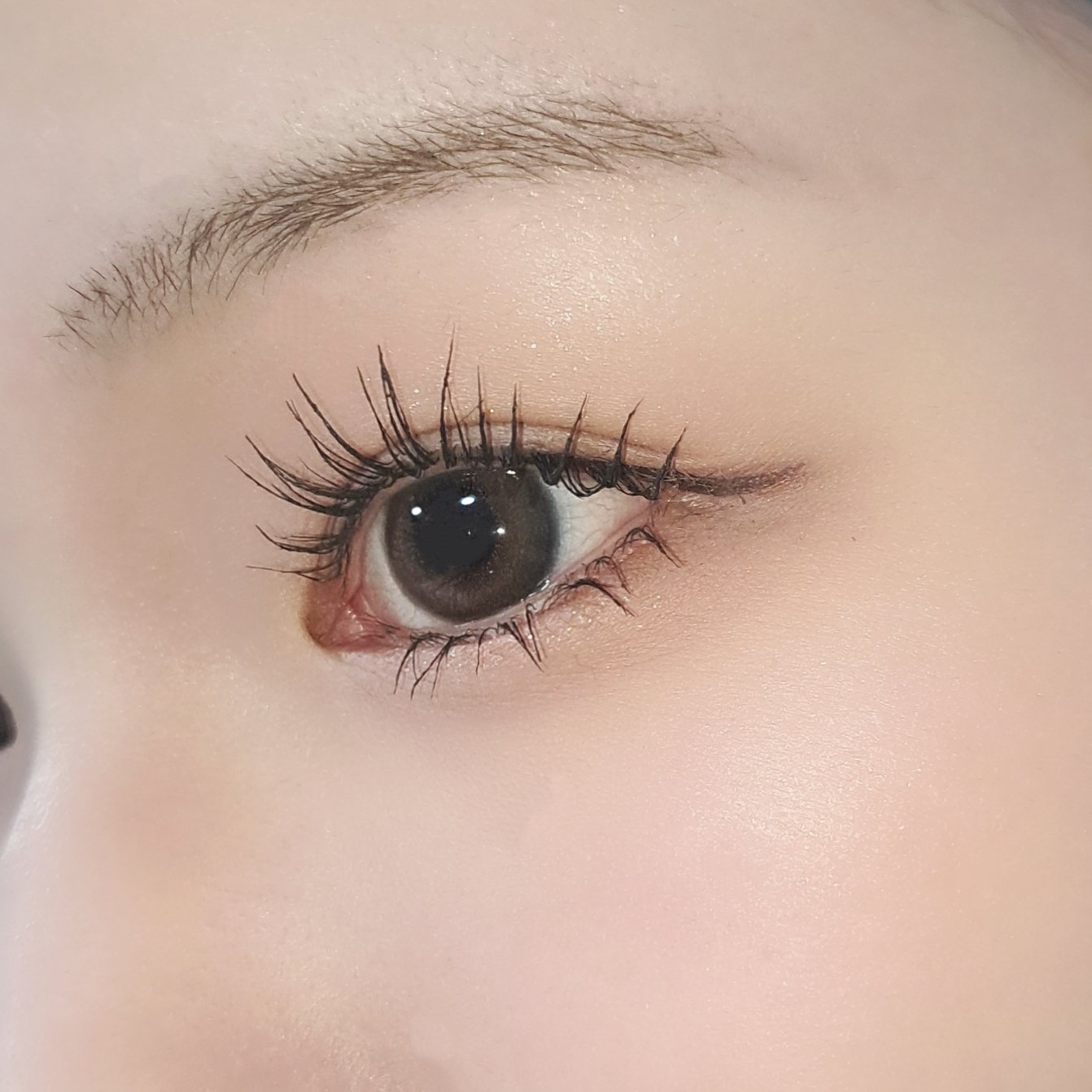 ReVIA 1day/ReVIA/ワンデー（１DAY）カラコンを使ったクチコミ（3枚目）