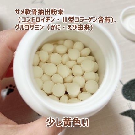 グルコサミンアクティブ/サントリー/健康サプリメントを使ったクチコミ(2枚目)