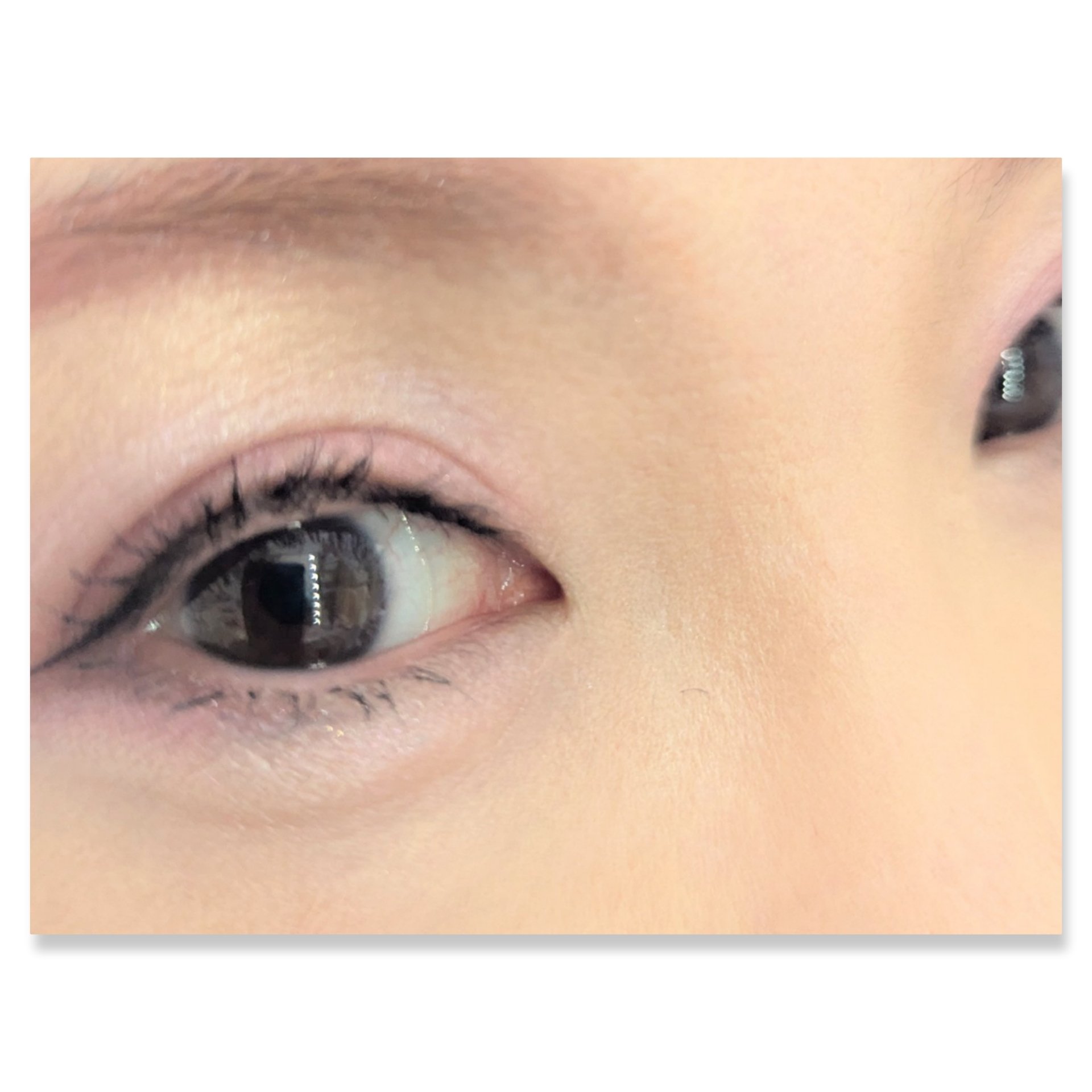 マイキティアイパレット/MilleFée/アイシャドウパレットを使ったクチコミ（2枚目）