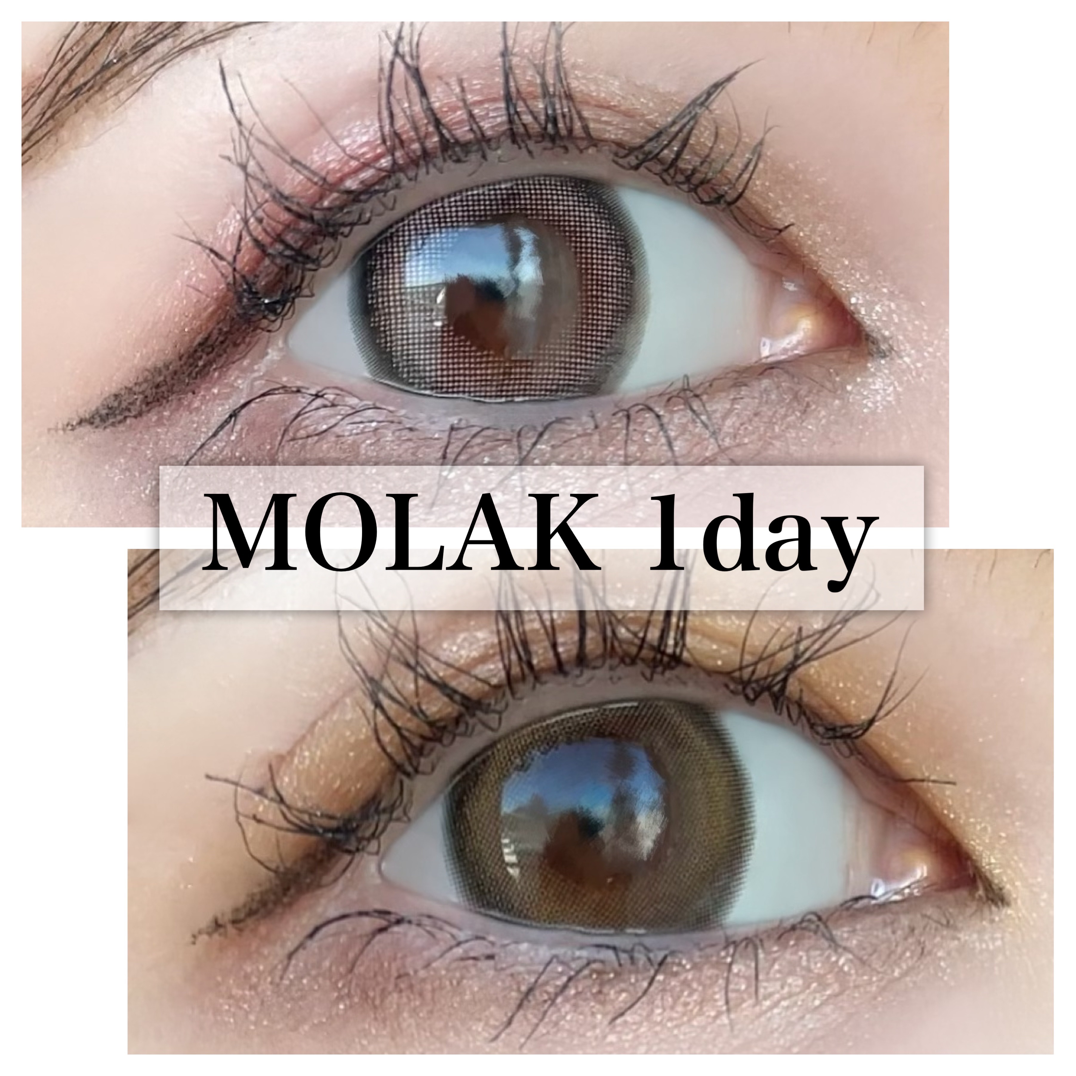 MOLAK 1day/MOLAK/ワンデー（１DAY）カラコンを使ったクチコミ（1枚目）