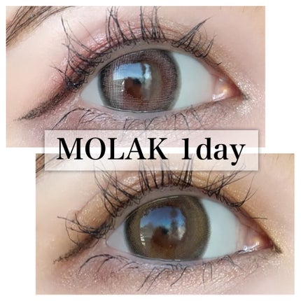 MOLAK 1day/MOLAK/ワンデー(1DAY)カラコンを使ったクチコミ(1枚目)