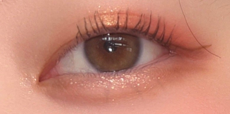 エクスプローラ12色 動物アイシャドウパレット/PERFECT DIARY/アイシャドウパレットを使ったクチコミ(3枚目)