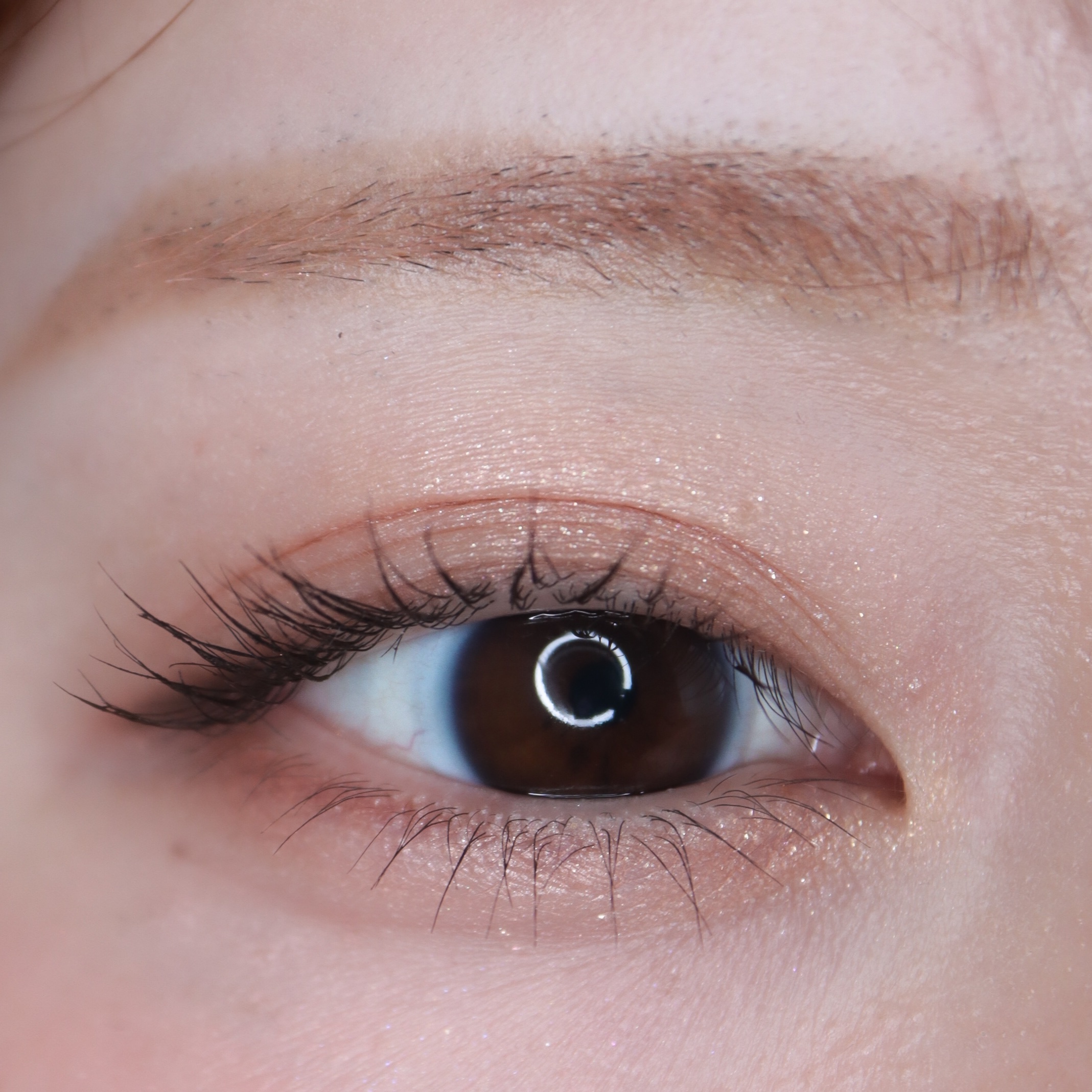 ダブル ムード アイズ/Visée/アイシャドウパレットを使ったクチコミ（2枚目）