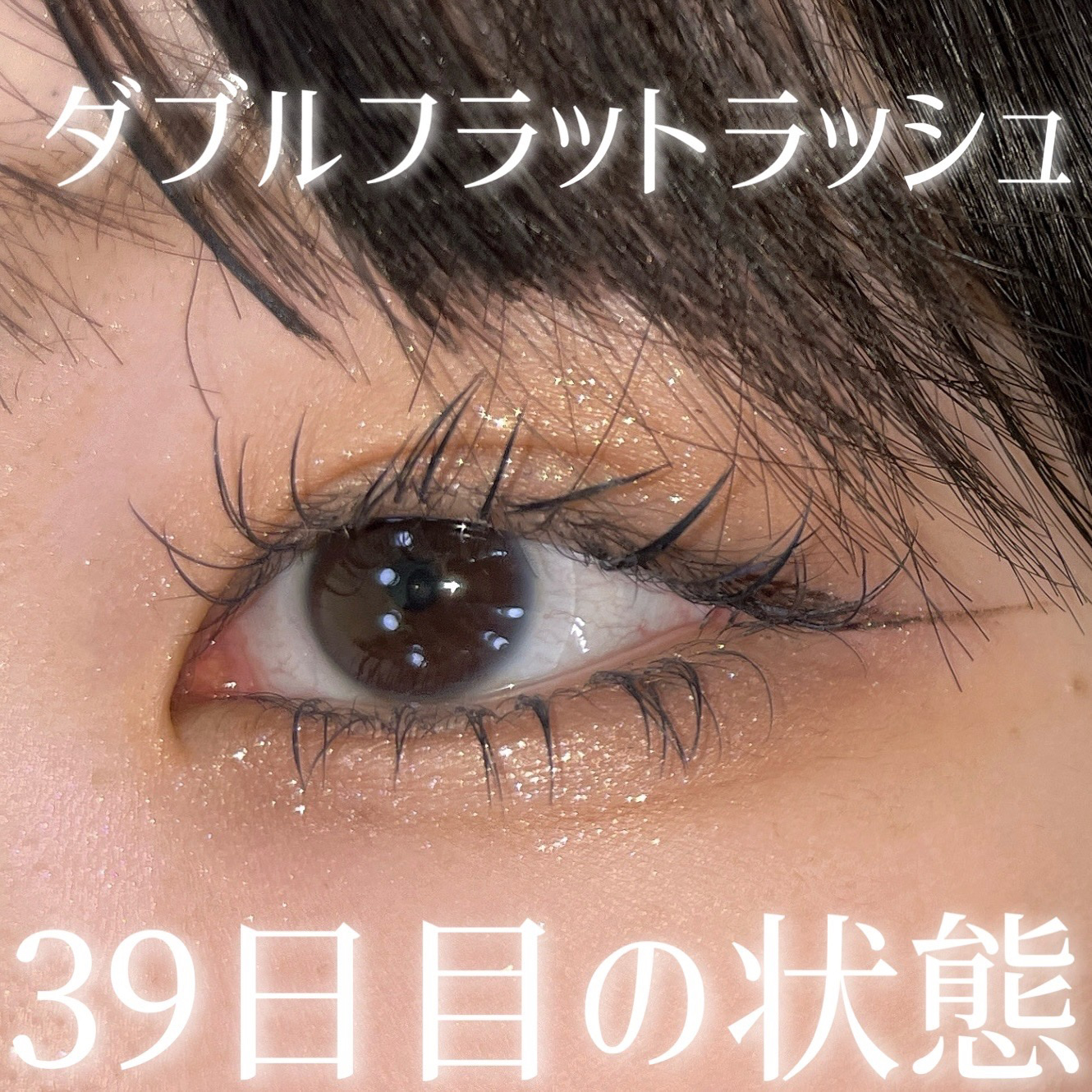 アイカラーレーション/LUNASOL/アイシャドウパレットを使ったクチコミ（1枚目）