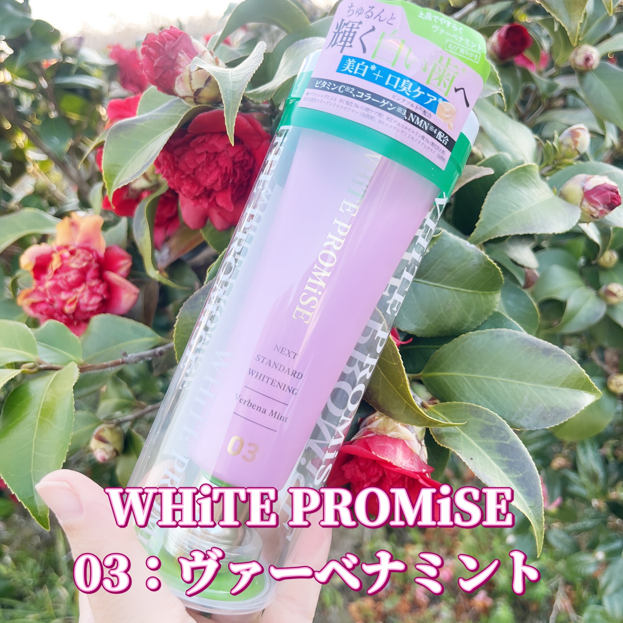 ホワイトプロミス  美白*＋口臭ケア/WHiTE PROMiSE/歯磨き粉を使ったクチコミ（1枚目）