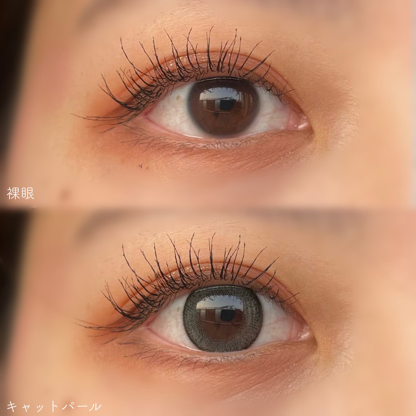 TOPARDS 1day/TOPARDS/ワンデー(1DAY)カラコンを使ったクチコミ(3枚目)