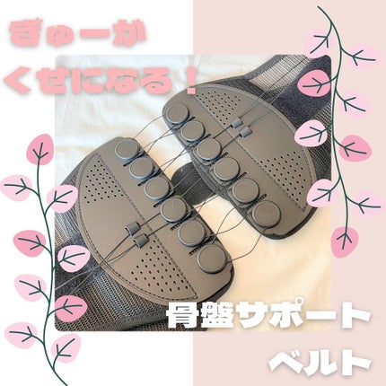 骨盤整隊カシャーン/コパ・コーポレーション/その他を使ったクチコミ(1枚目)