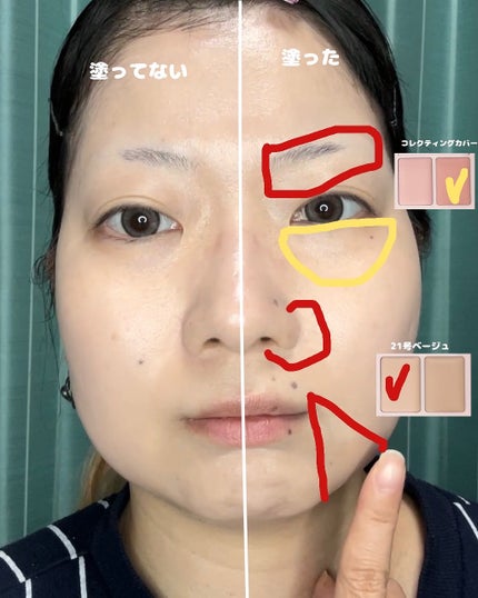 プロカバーデュアルコンシーラーパレット/dasique/パレットコンシーラーを使ったクチコミ(8枚目)