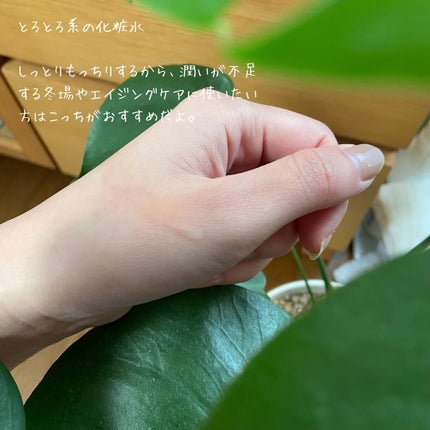 プラスムギハトムギ化粧水/+mugi/化粧水を使ったクチコミ(2枚目)