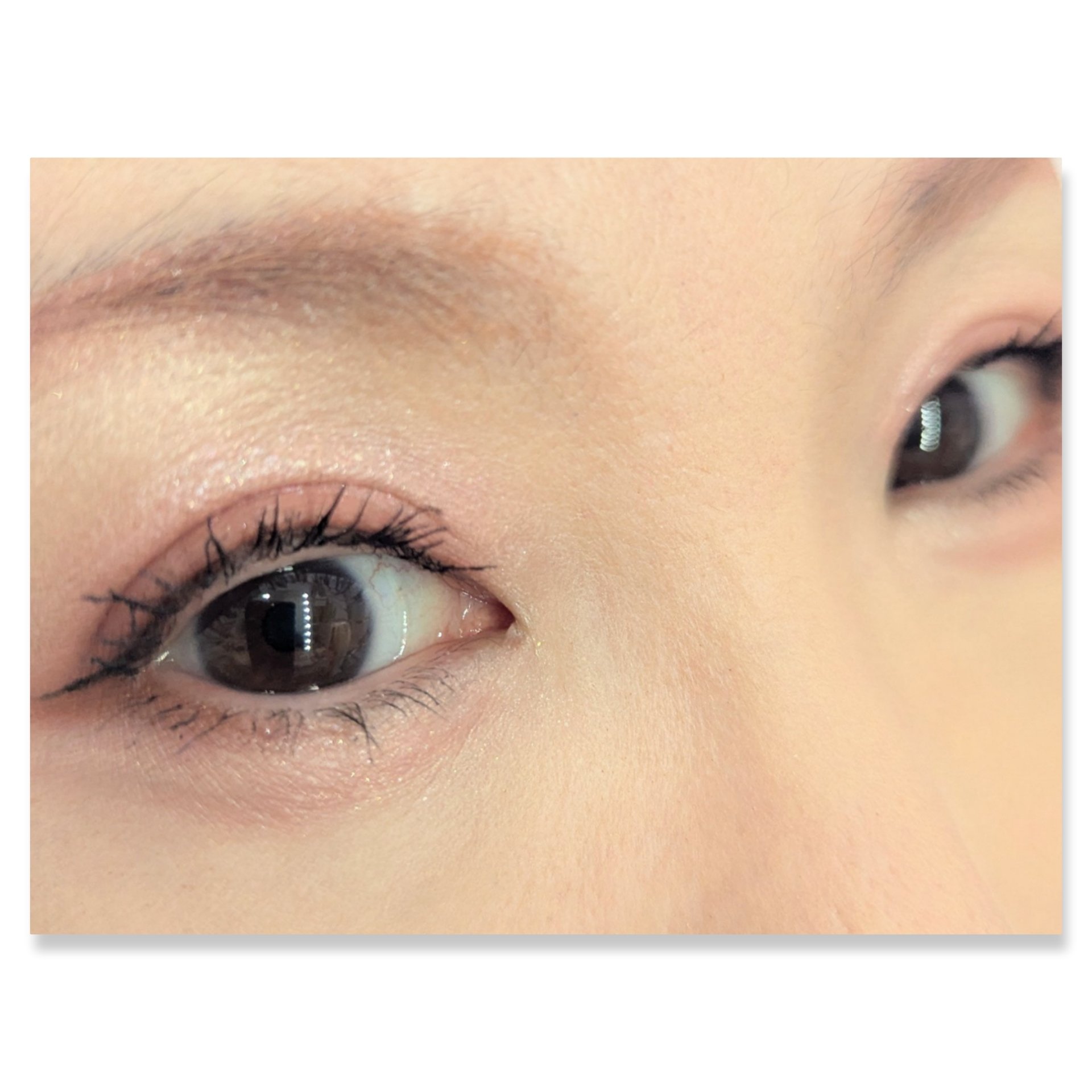 シャドーフラッシュ /MAJOLICA MAJORCA/アイシャドウパレットを使ったクチコミ（2枚目）