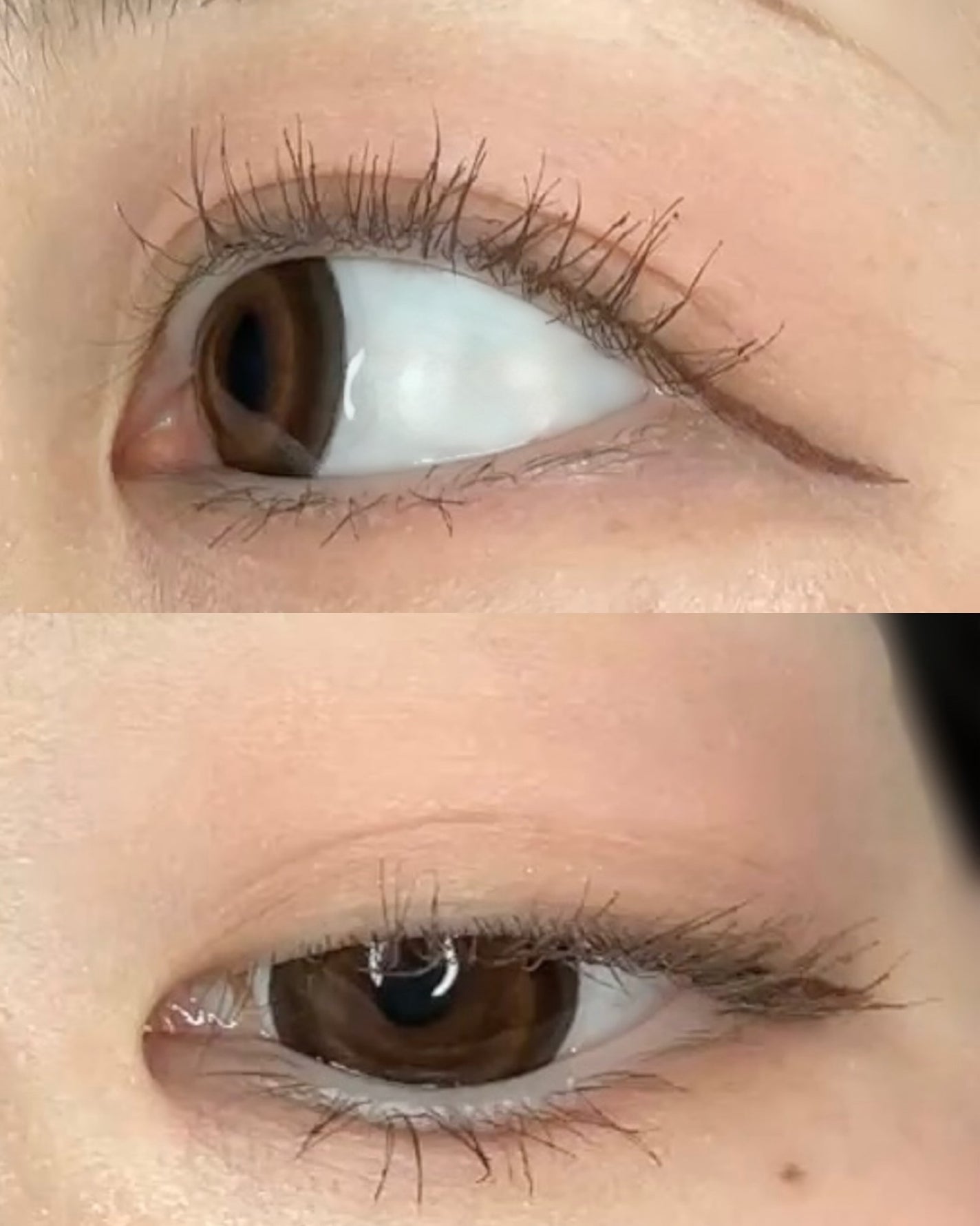 シャドウパレット/dasique/アイシャドウパレットを使ったクチコミ(6枚目)