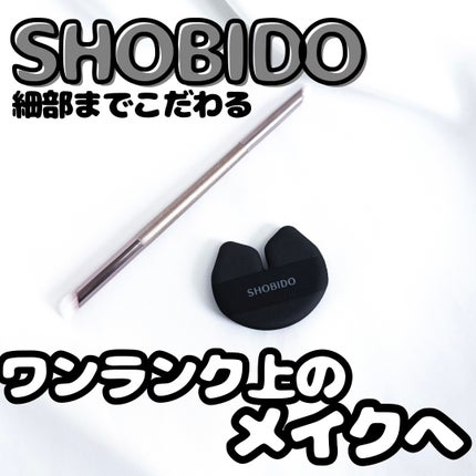 Wポイントメイクブラシ/SHOBIDO/メイクブラシを使ったクチコミ(1枚目)