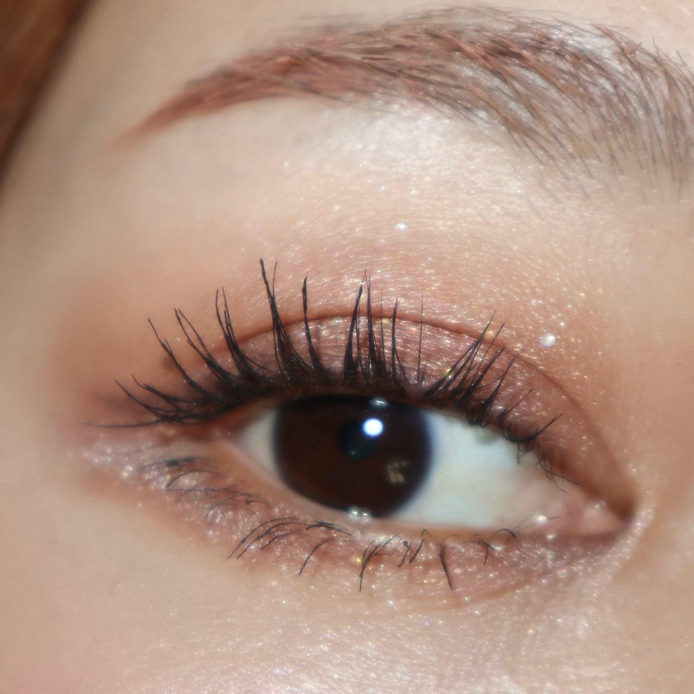 アイスカルプト/shu uemura/アイシャドウパレットを使ったクチコミ(5枚目)