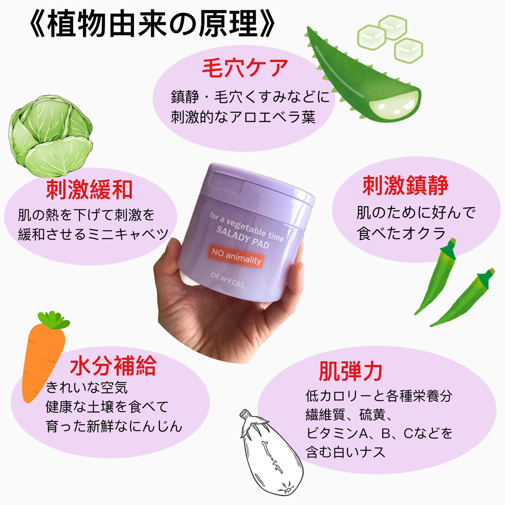 SALADY PAD 70EA/DEWYCEL/拭き取り化粧水を使ったクチコミ（3枚目）