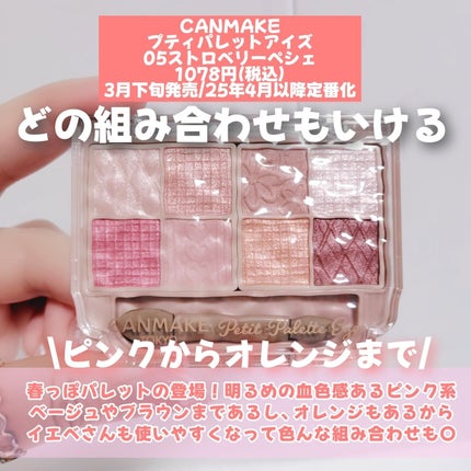 プティパレットアイズ/キャンメイク/パウダーアイシャドウを使ったクチコミ(2枚目)