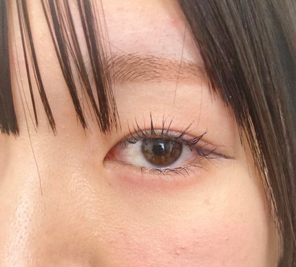 プランぷくコーデアイズ/キャンメイク/パウダーアイシャドウを使ったクチコミ(4枚目)