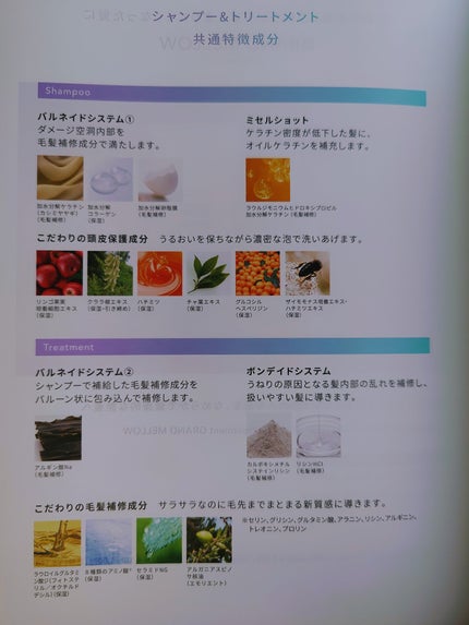 フローディア トリートメント スリークモイスト/FLOWDIA/洗い流すヘアトリートメントを使ったクチコミ(2枚目)