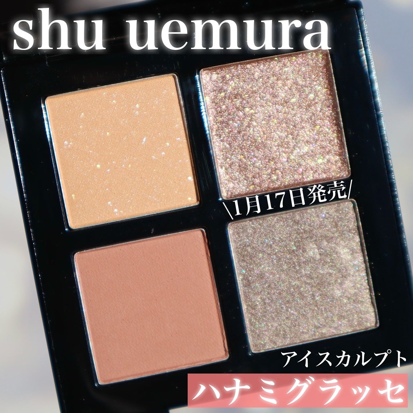 アイスカルプト/shu uemura/アイシャドウパレットを使ったクチコミ(1枚目)